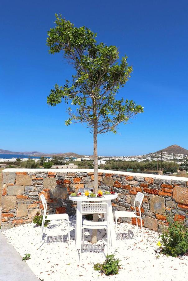 The Nine Graces - Agia Anna - Option With Private Pool Or Hot Tubヴィラ エクステリア 写真