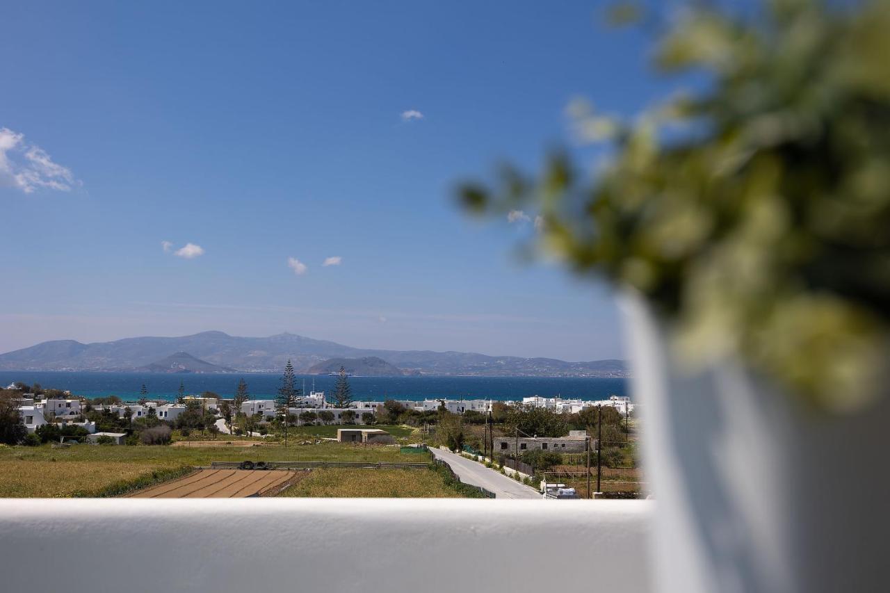 The Nine Graces - Agia Anna - Option With Private Pool Or Hot Tubヴィラ エクステリア 写真